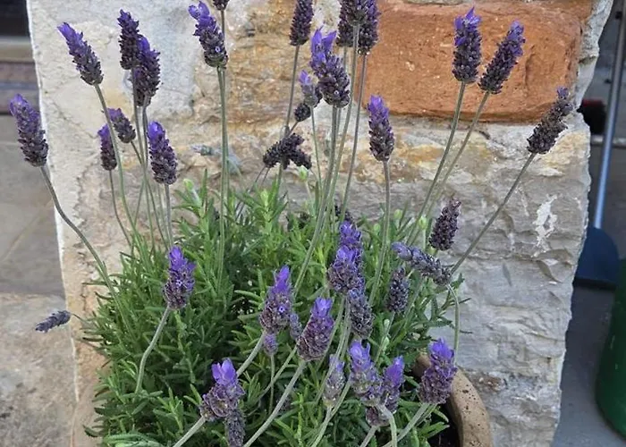 Punta Bjanca Stone House *