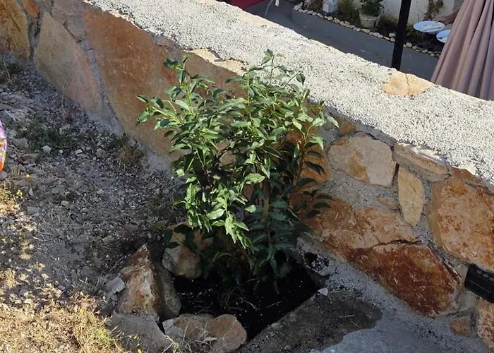 Punta Bjanca Stone House Tatil Evi Veli Rat